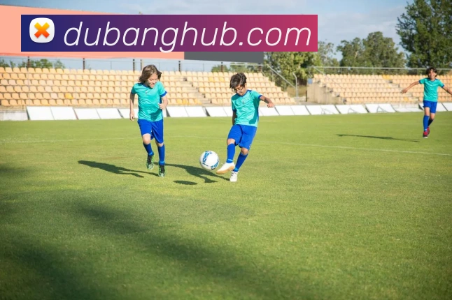 多媒体互动体验